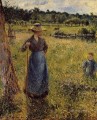 the tedder 1884 Camille Pissarro
